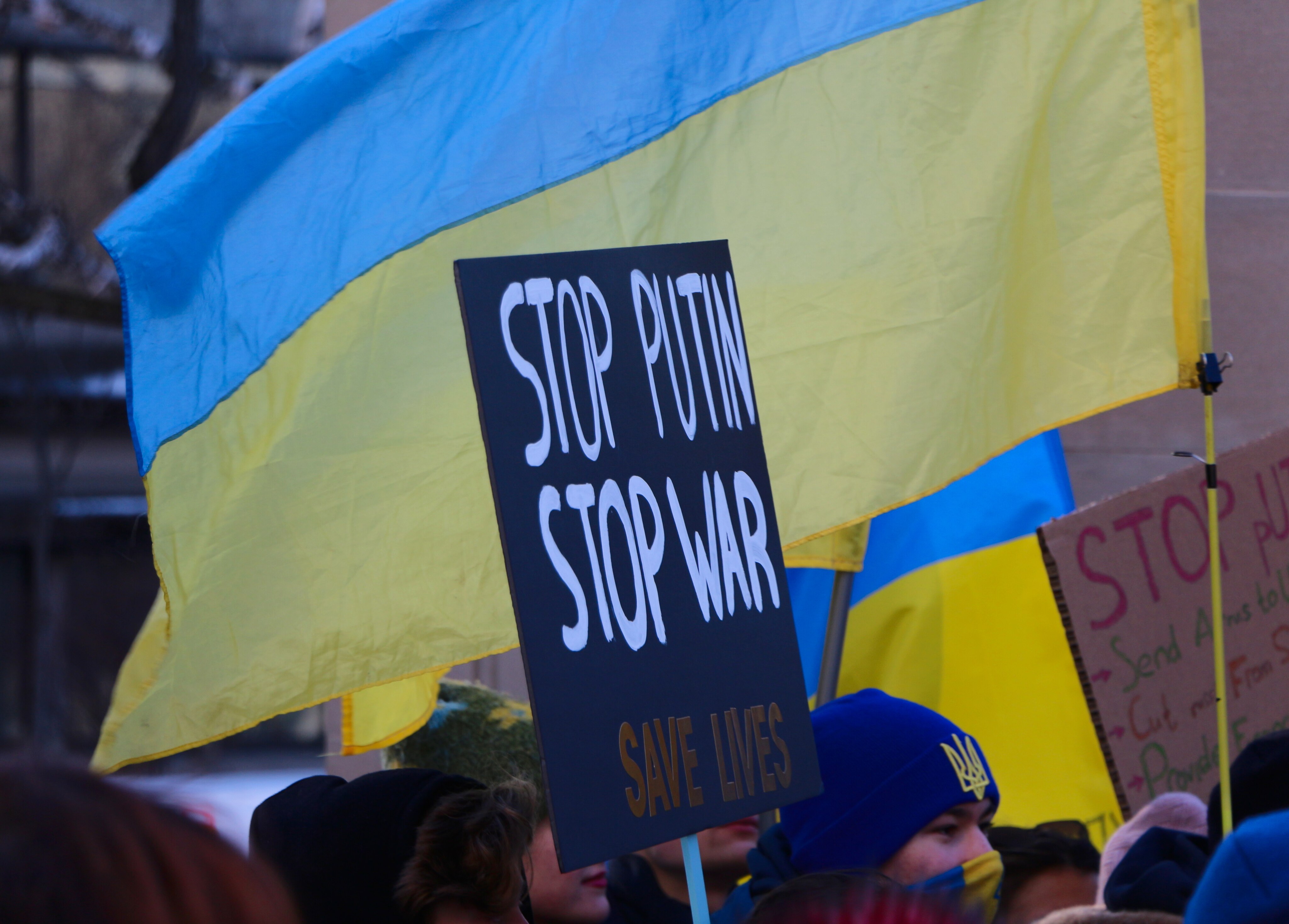Resilience and Fragility of Russian Domestic Order